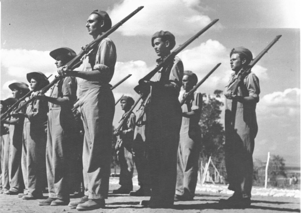 ללא כותרת - שפירא אנטול