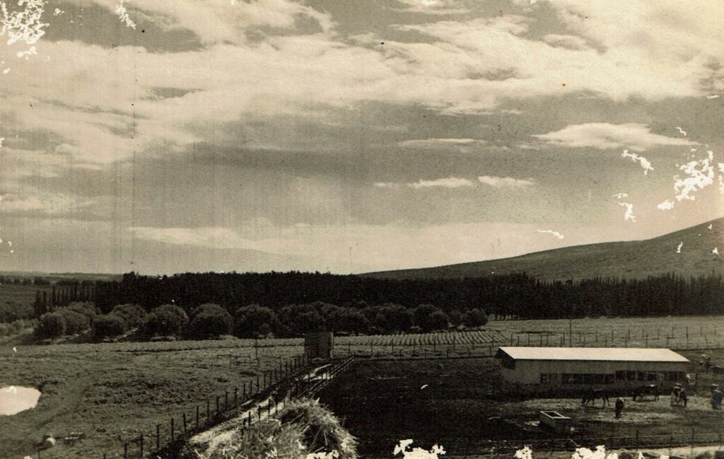 קיבוץ בית אלפא - שפירא אנטול