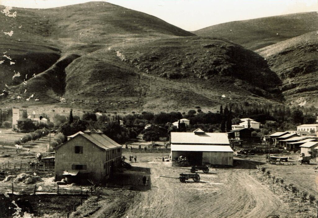 קיבוץ בית אלפא - שפירא אנטול