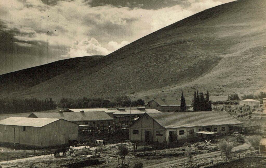 קיבוץ בית אלפא - שפירא אנטול