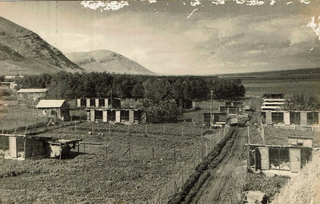 קיבוץ בית אלפא - שפירא אנטול