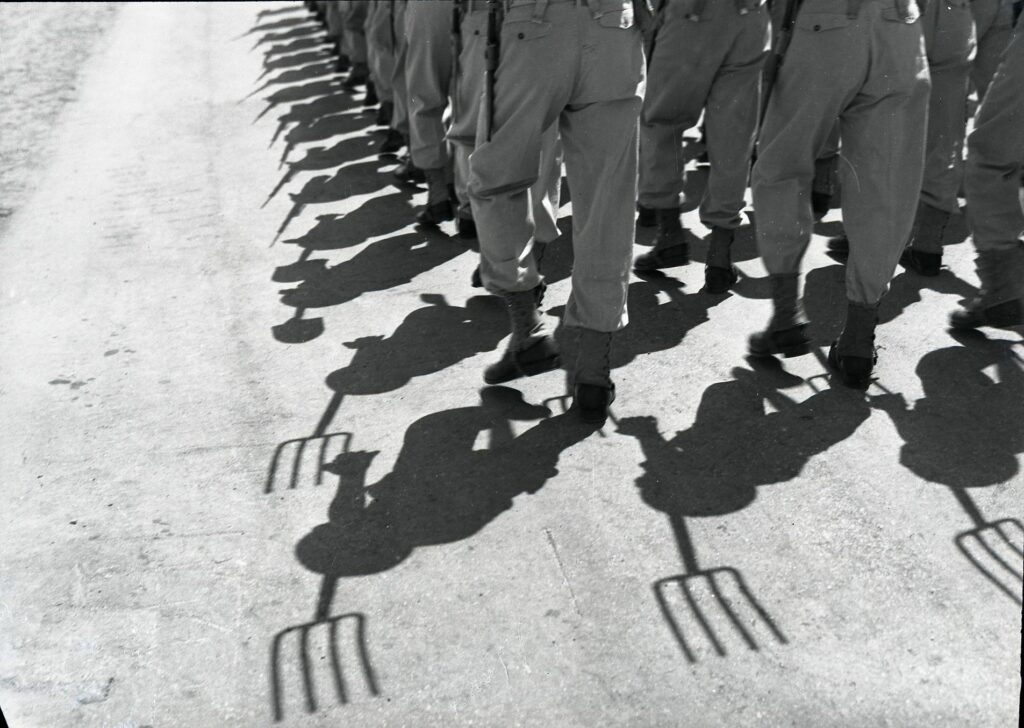 יום העצמאות החמישי למדינה בחיפה - רותנברג בנו