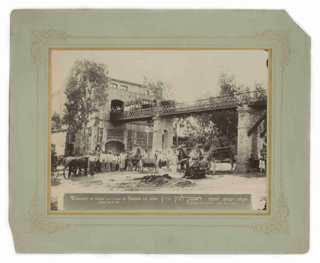 הובלת הענבים למרתפי ראשון לציון - רפאלוביץ ישעיהו