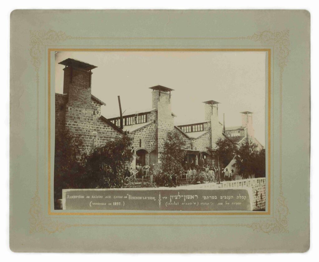 קבלת הענבים במרתפי ראשון לציון - רפאלוביץ ישעיהו