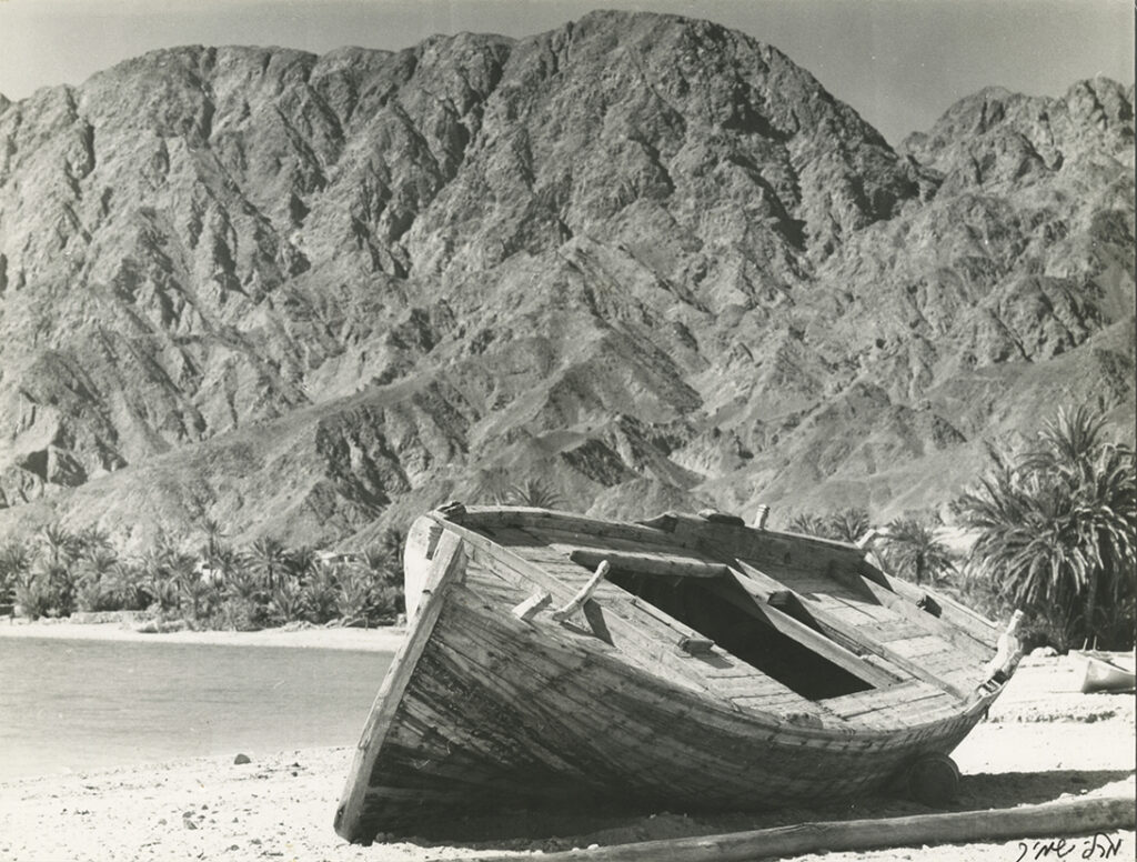 ללא כותרת - שמיר מרלי