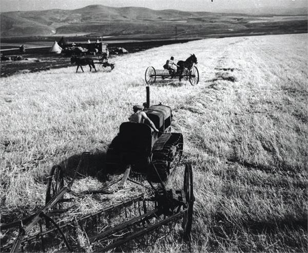 עמק יזרעאל – עבודה בשדה - שווייג שמואל יוסף