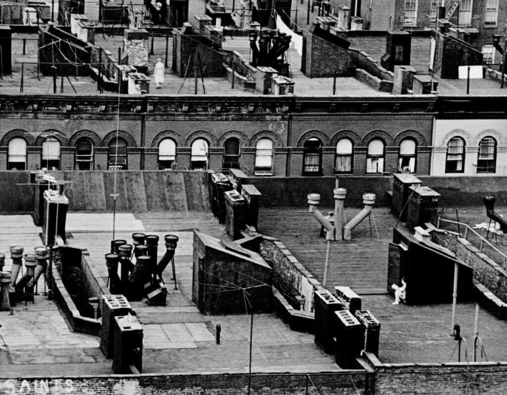 ניו יורק - זלוסצר יונה