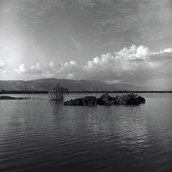 החולה – שמורת הטבע - הירשפלד דוד