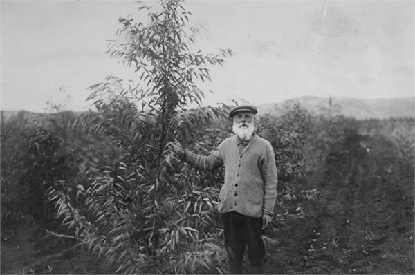 כפר ברוך – המתישב שמולביץ - שווייג שמואל יוסף