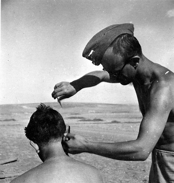 ספר צבאי - שוורץ טרודי