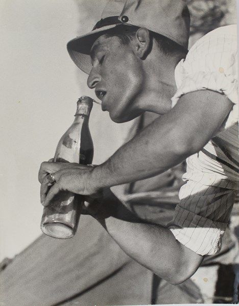 ללא כותרת - שמיר מרלי