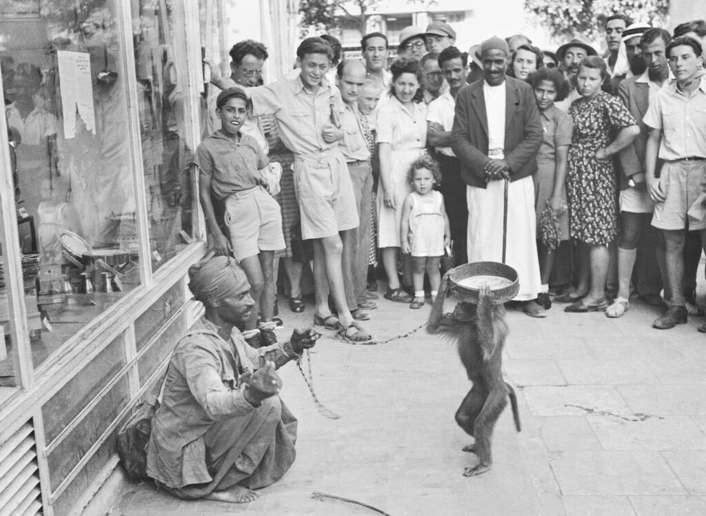 מופע רחוב עם קוף - גולדמן פאול