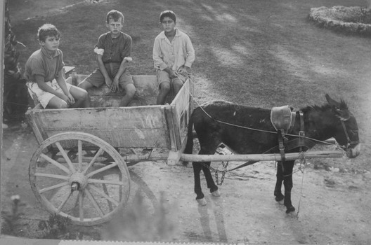ילדי כפר הנוער בן שמן יוצאים לעבודה - שווייג שמואל יוסף