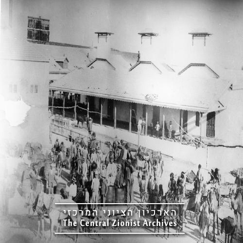 הבאת גפנים ליקב בראשון לציון - רפאלוביץ ישעיהו