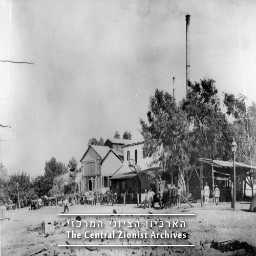 הבאת גפנים ליקב בראשון לציון - רפאלוביץ ישעיהו