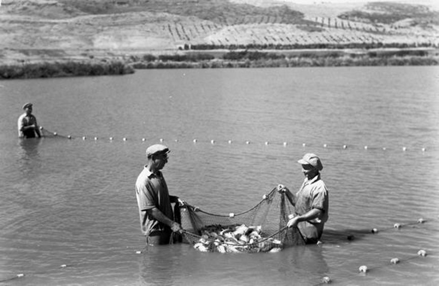 דגניה ב' – דיג - מלבסקי אברהם