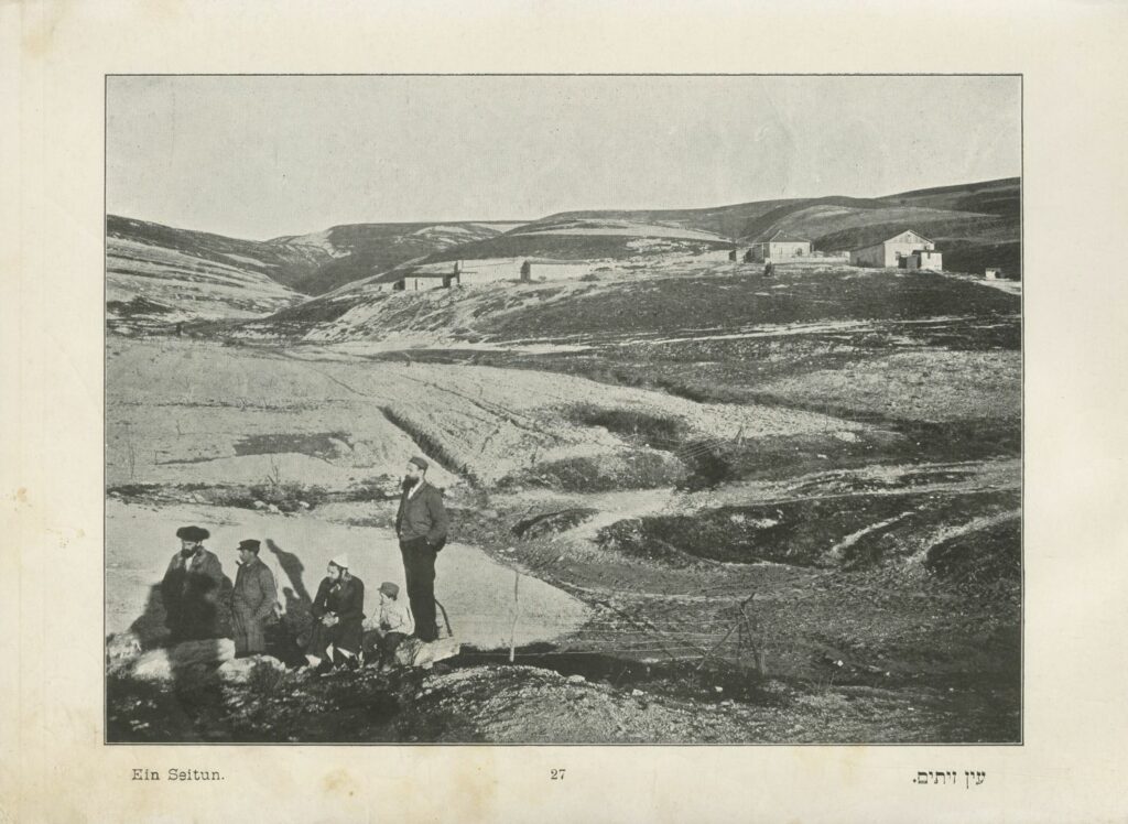 עין זיתים - רפאלוביץ ישעיהו