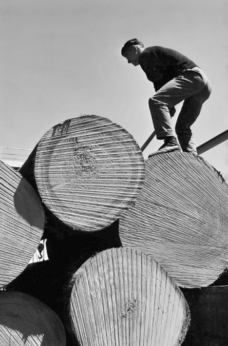 סוור בעבודתו בנמל חיפה - גרוס משה