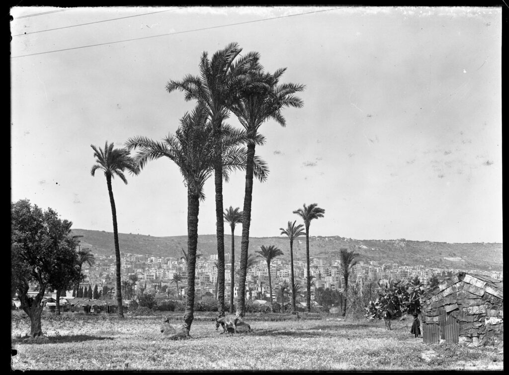 חיפה - קריסטלר ולטר