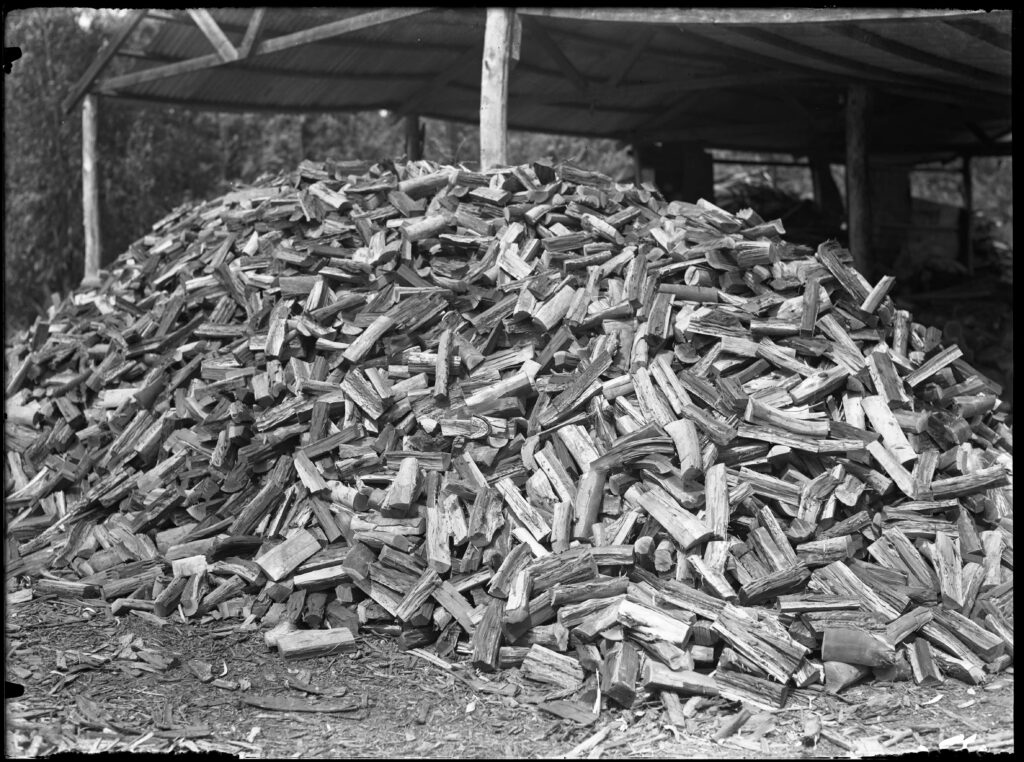 יער חדרה - קריסטלר ולטר