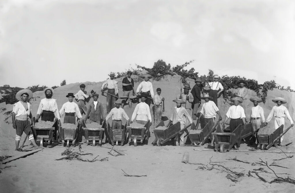 מריצנים בפעולת יישור חולות - סוסקין אברהם