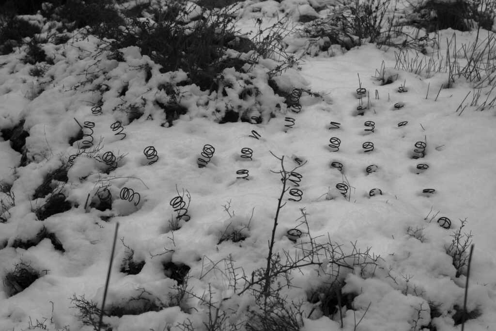 מיטה בשלג פארק בגין, הרי ירושלים - חן יובל