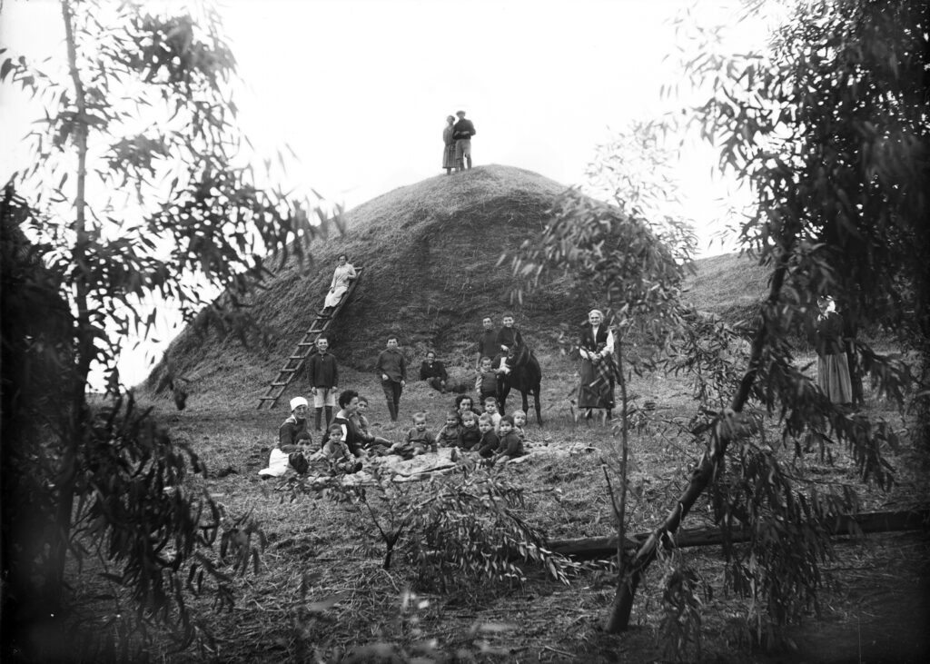הגורן בקבוצת גבע - שווייג שמואל יוסף