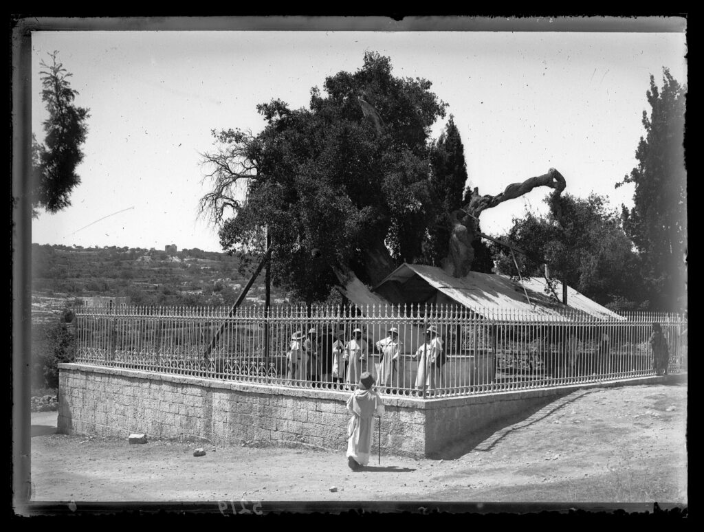 אשל אברהם, חברון - סביניאק אנטואן רפאל