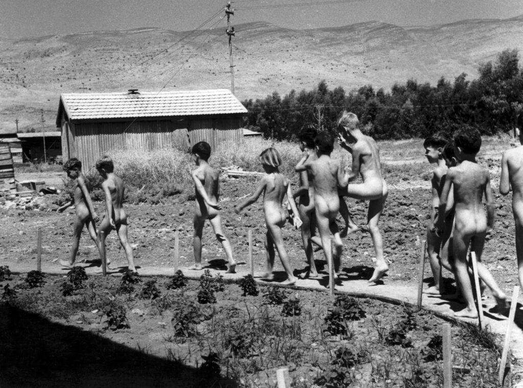 קיבוץ נאות מרדכי - בראון ורנר