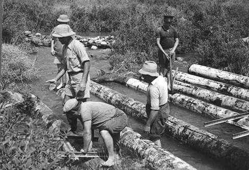 ביום העליה לדפנה, גשר מעל לדן בנינו - קומרינר אריך