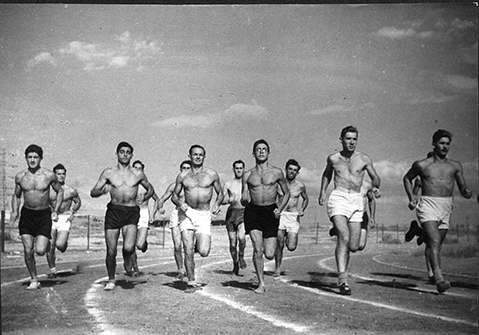 ספורט - דינר לזר