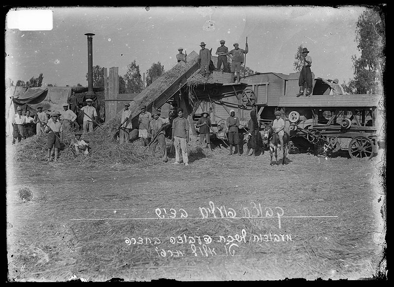 קבוצת פועלים בדיש, מעבודות לשכת העבודה בחדרה, ט"ו אלול, תרפ"ו - קולודני סוניה