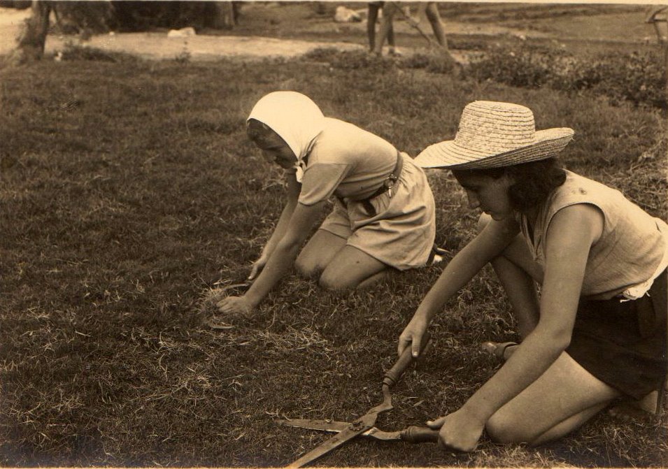 משק הפועלות בחדרה, גיזום דשא - קריסטל פנחס