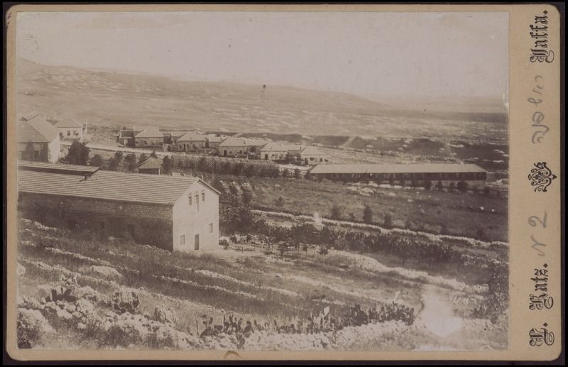 ראש פינה - כץ לאון