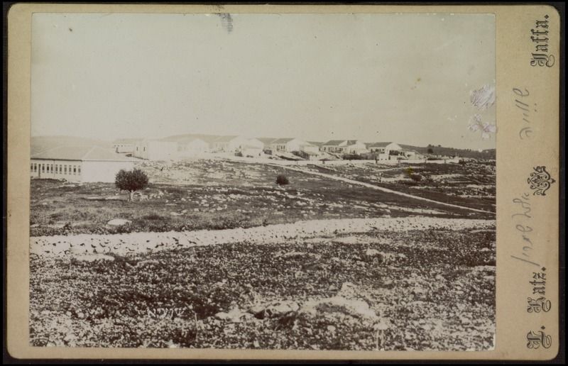 כפר שפיה - כץ לאון