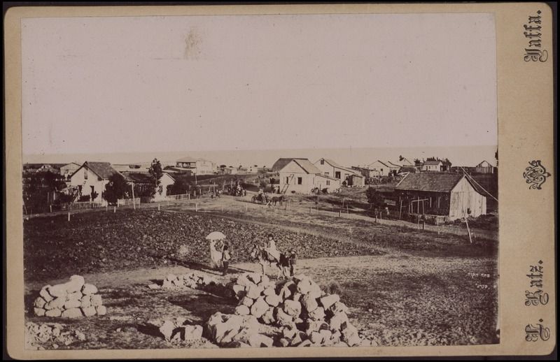 פתח תקווה - כץ לאון