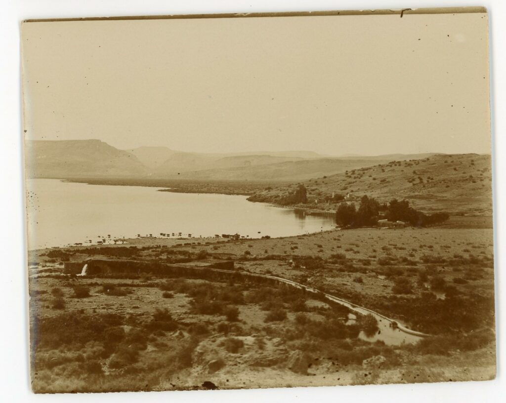 מבט על הכנרת - גרוסמן ריכרד