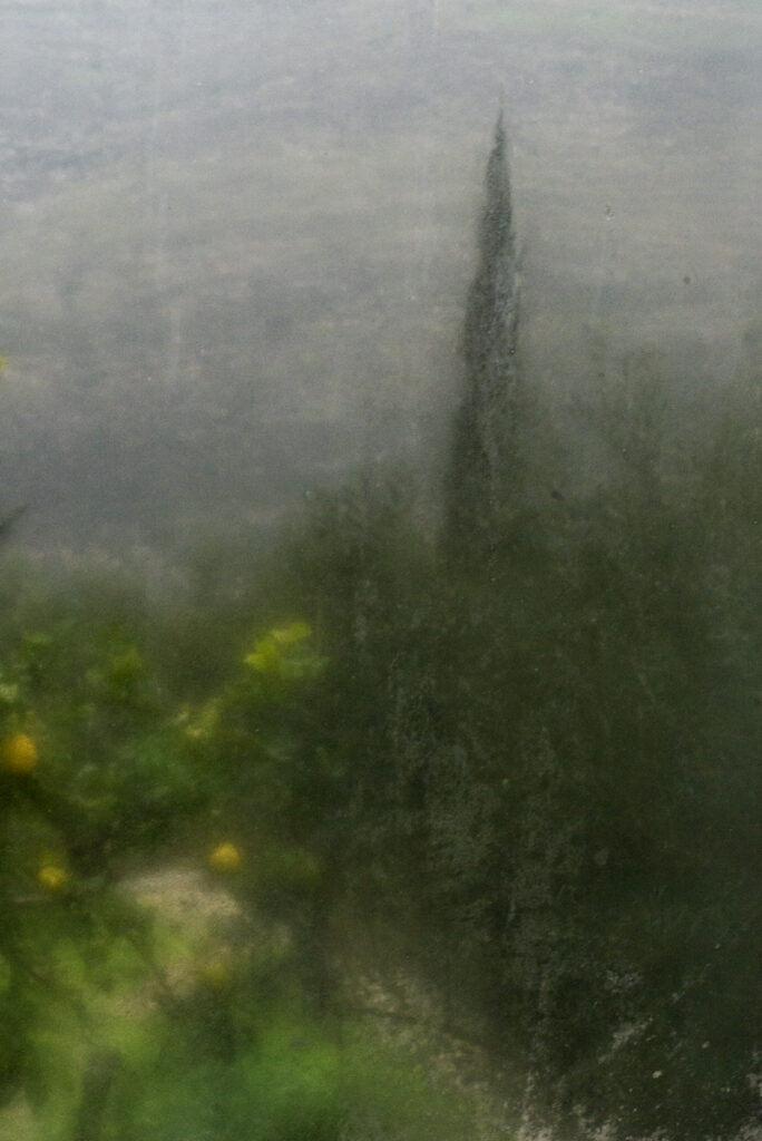 מבעד לחלון - הרמן חנניה