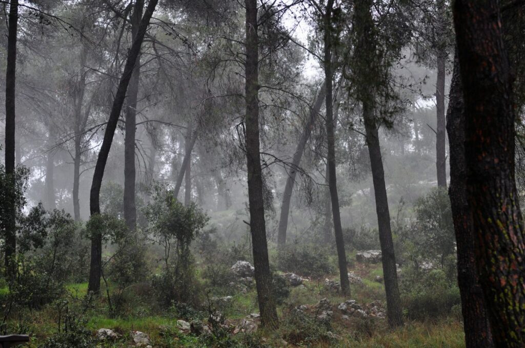 הר הרוח - הרמן חנניה