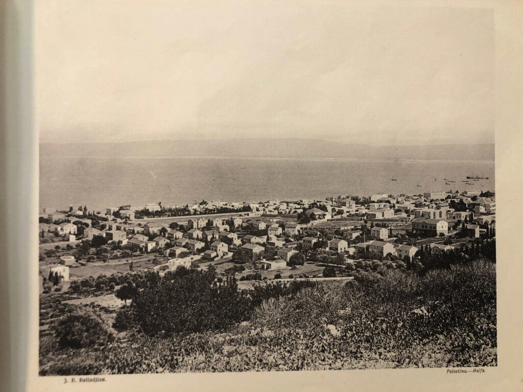 חיפה - האלדיג'יאן הובאנס