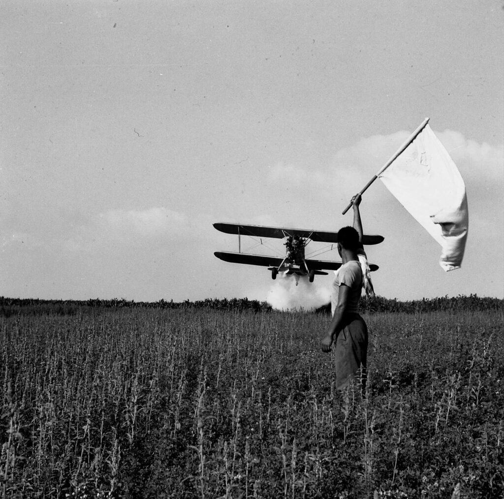 כך היינו- דגלן ומטוס ריסוס - רביב ברוך