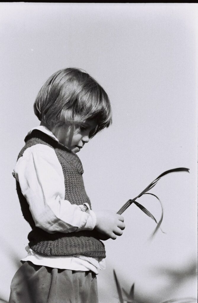 מסע לארץ הגשם- אורית - רביב ברוך