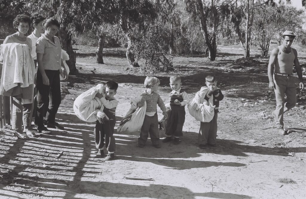 ימי התום- לינה משותפת - רביב ברוך