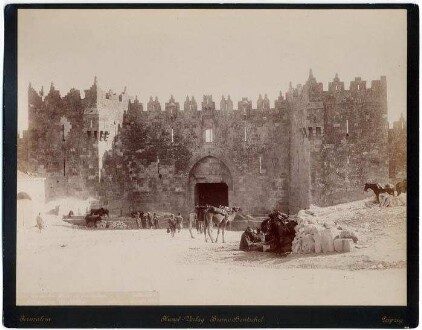 שער דמשק-שכם - הנטשל ברונו