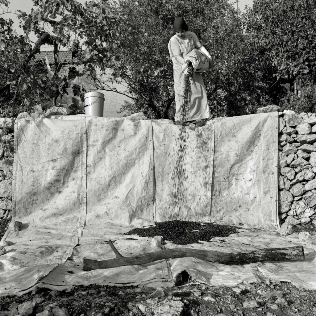 ללא כותרת - בואיה ראאד