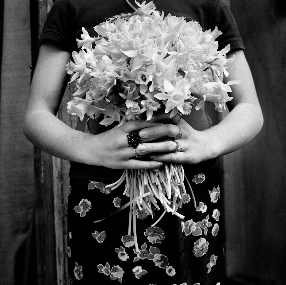 ללא כותרת - בואיה ראאד