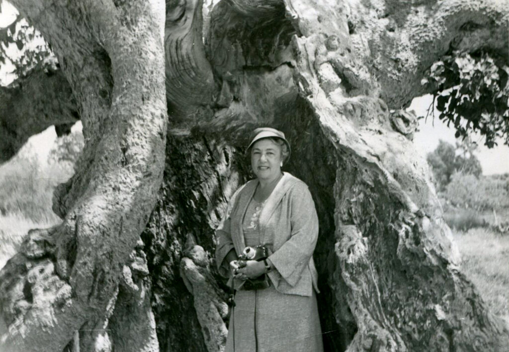 Courtesy of Hadassah, The Women's Zionist Org anization of America, Inc, שנות ה50.