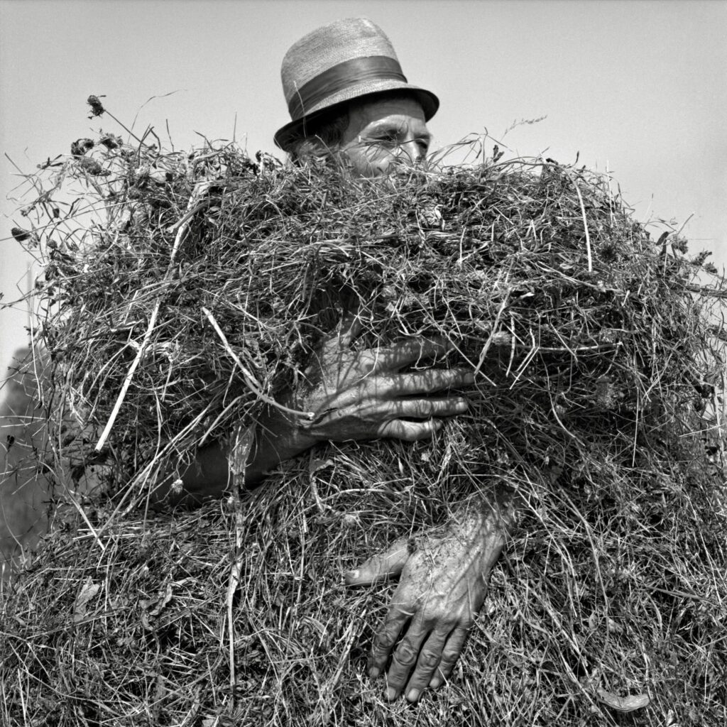 ללא כותרת - בואיה ראאד