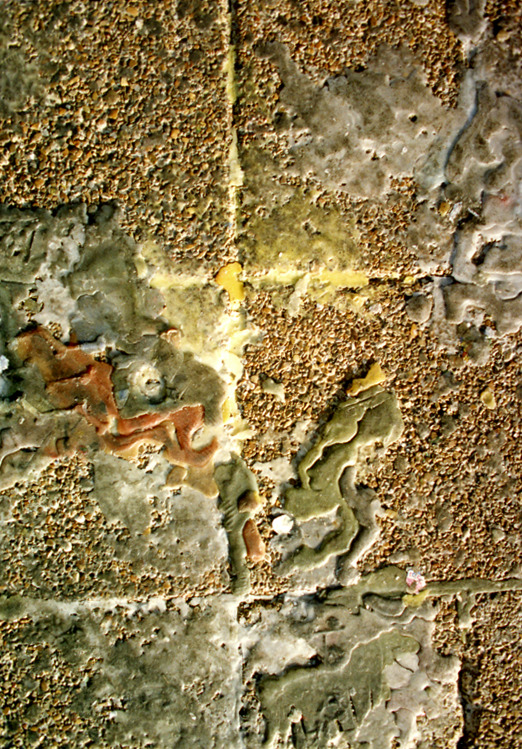 כיכר העיר - רז גיא