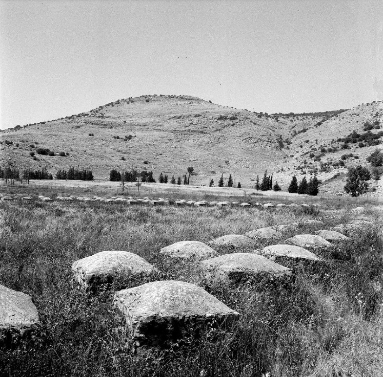 אבני מחסום (גבול הצפון) - רז גיא